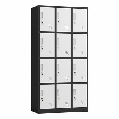 Almacenamiento casero del color 12 de las puertas de la oficina del metal del armario doble del gabinete